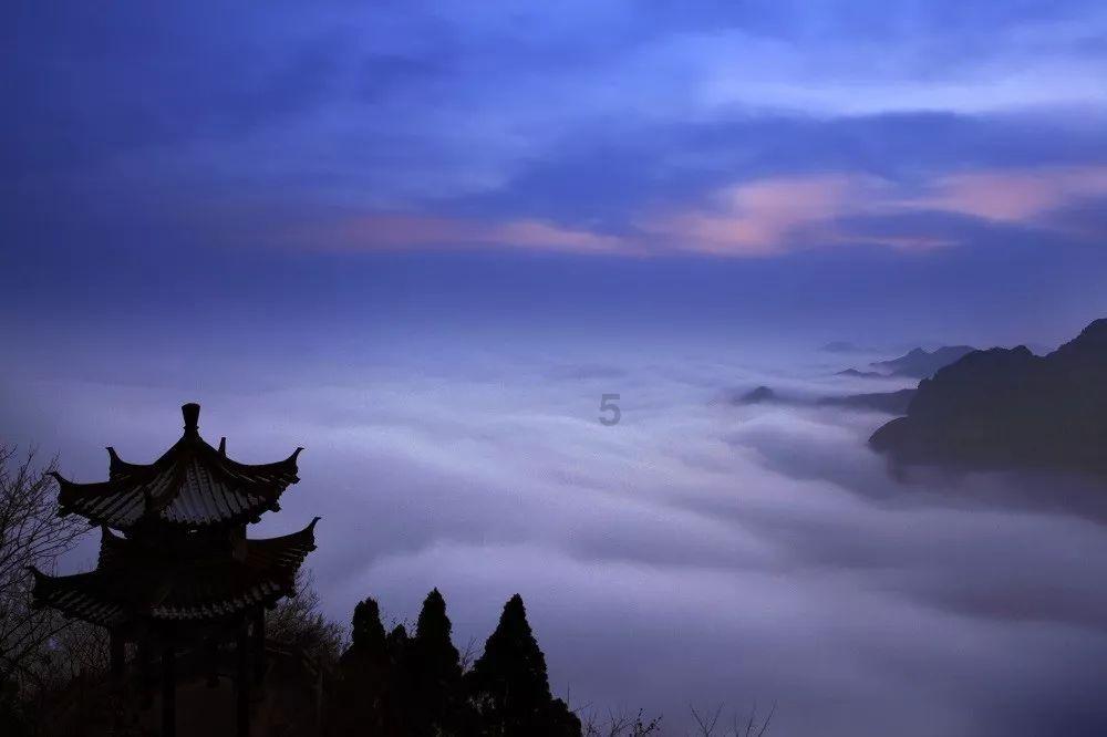 小企鹅逃生