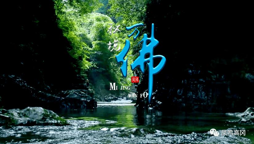 小猫钓鱼游戏龙王版有船