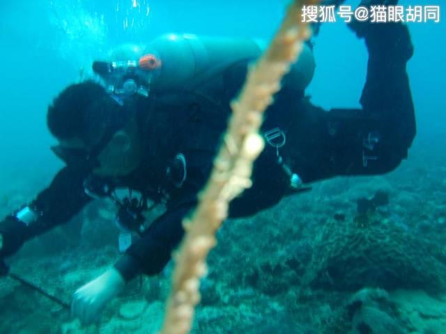 时隔七年，大家财险及养老交成绩单：偿付能力达标，经营待改善