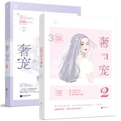 孤独的流浪者救援