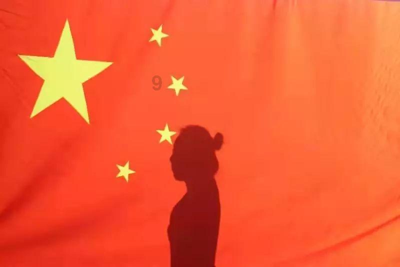 萌犬找不同