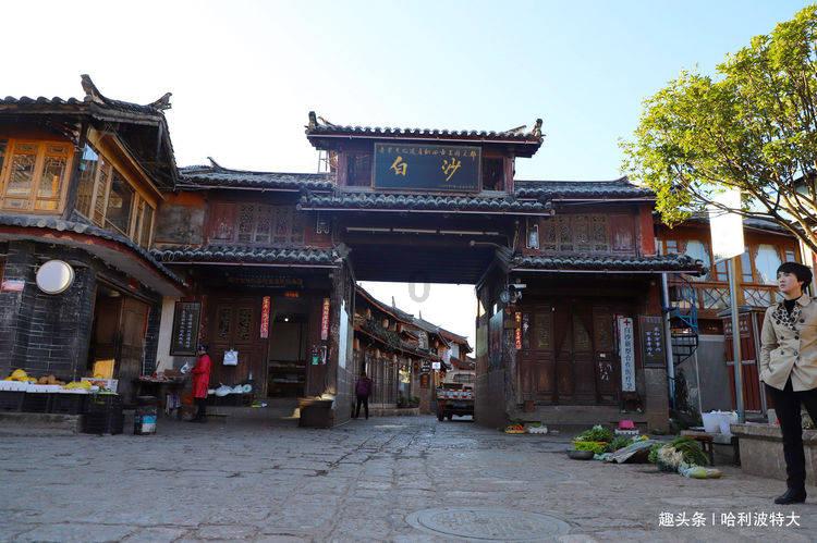 德国牧羊犬被家庭淘汰只是时间问题,单凭这五点就显得格格不入了
